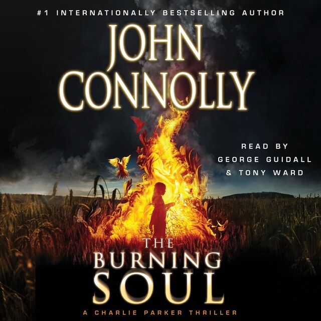 Buchcover für Burning Soul
