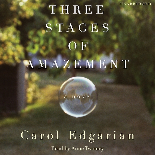 Boekomslag van Three Stages of Amazement