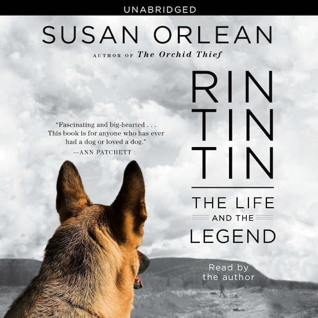 Okładka książki dla Rin Tin Tin
