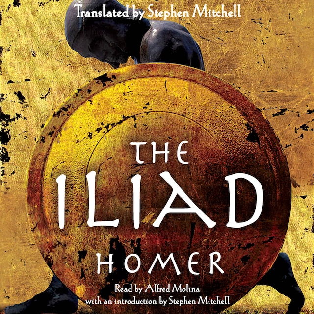 Couverture de livre pour The Iliad