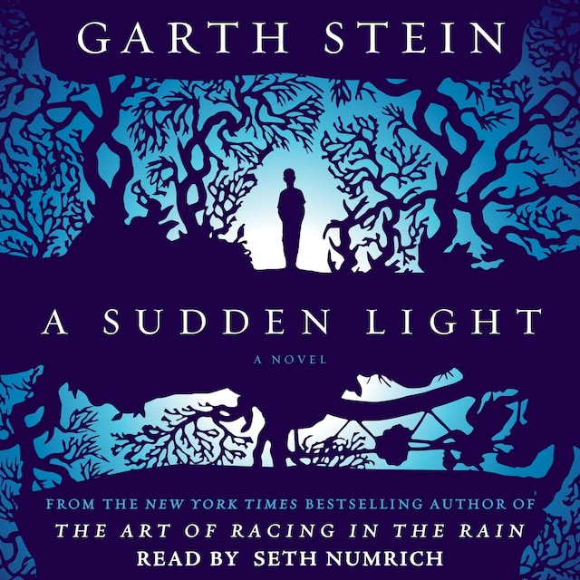 Boekomslag van A Sudden Light