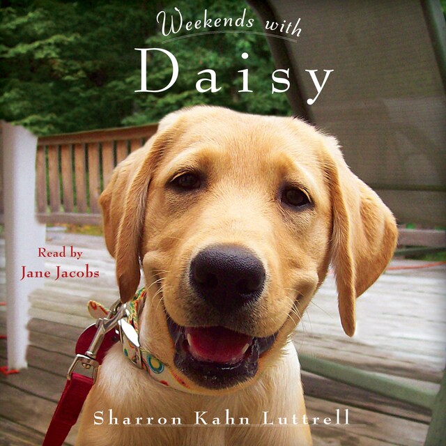 Book cover for Weekends with Daisy
