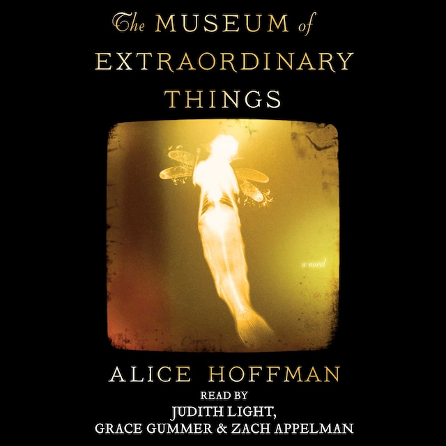 Book cover for The Museum of Extraordinary Things