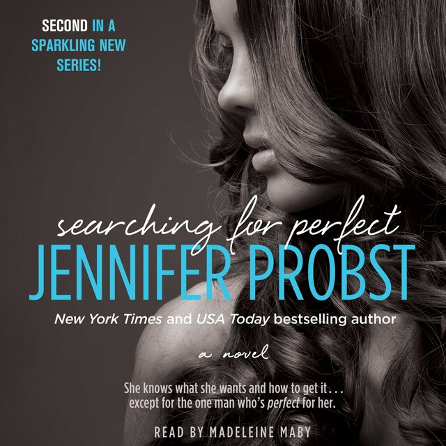 Couverture de livre pour Searching for Perfect