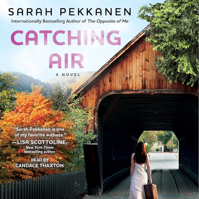Book cover for Catching Air