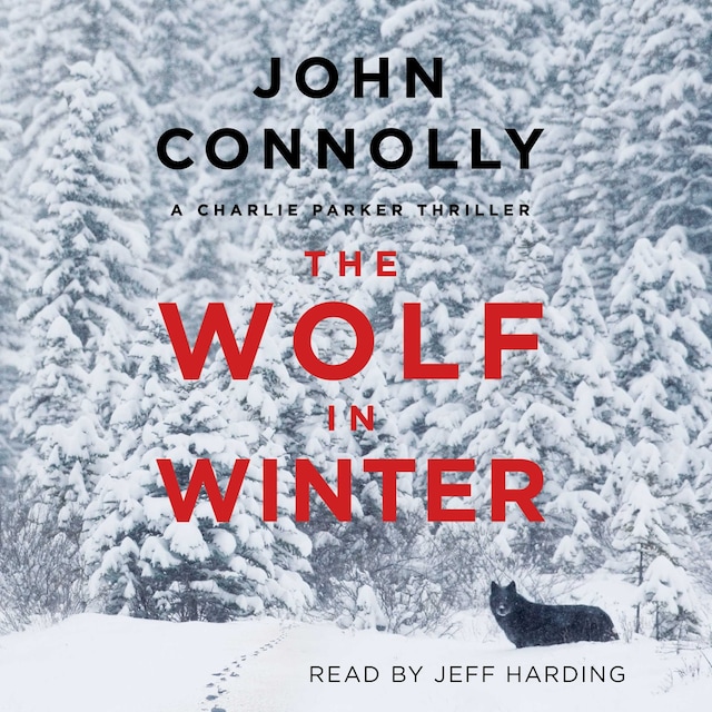 Okładka książki dla The Wolf in Winter