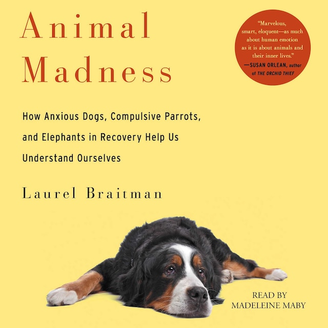 Buchcover für Animal Madness