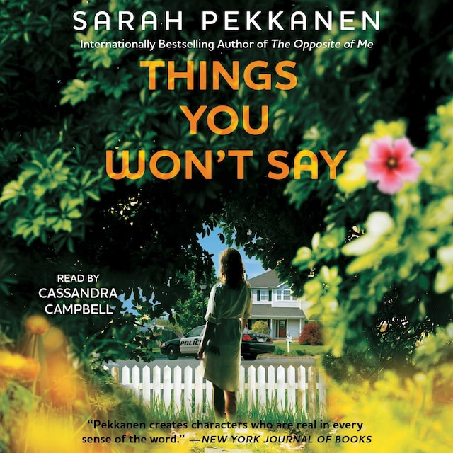 Book cover for Things You Won't Say