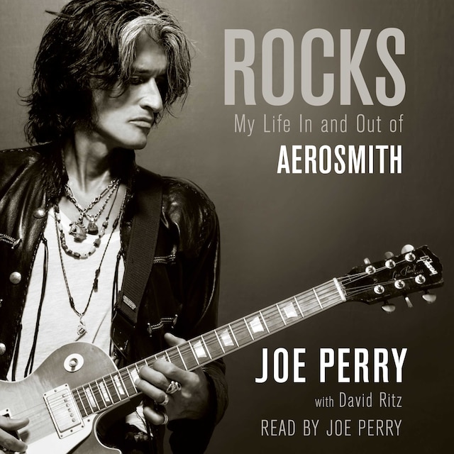 Book cover for Rocks