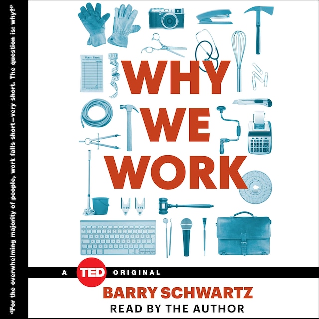 Book cover for Why We Work