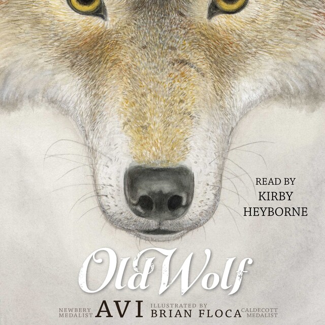Book cover for Old Wolf
