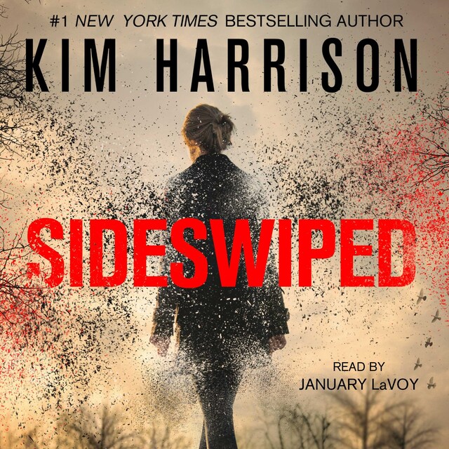 Book cover for Sideswiped