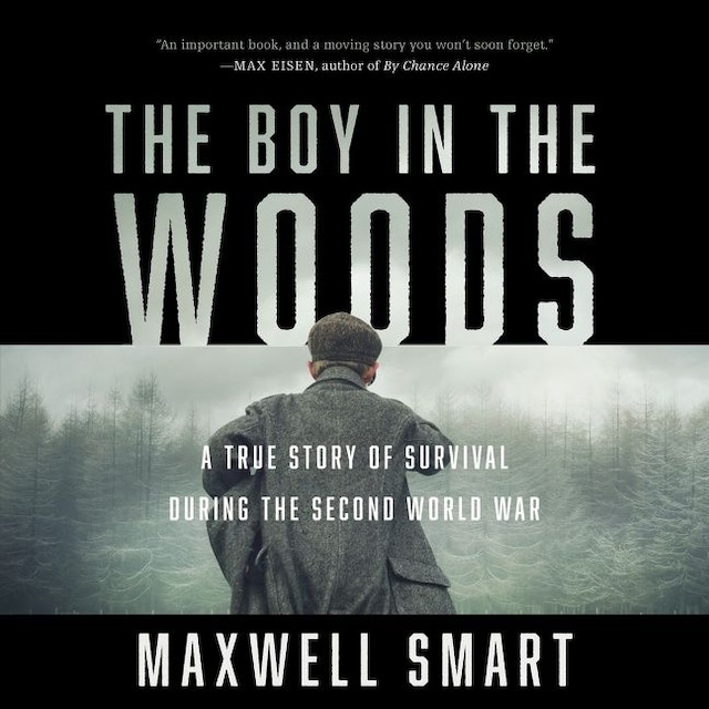 Book cover for The Boy in the Woods