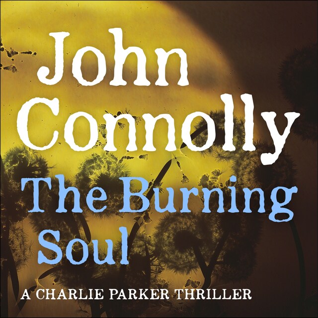 The Burning Soul