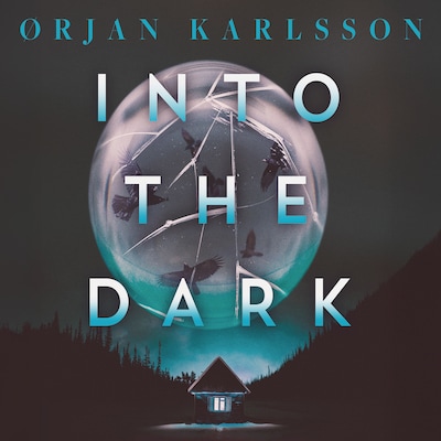 Into the Dark