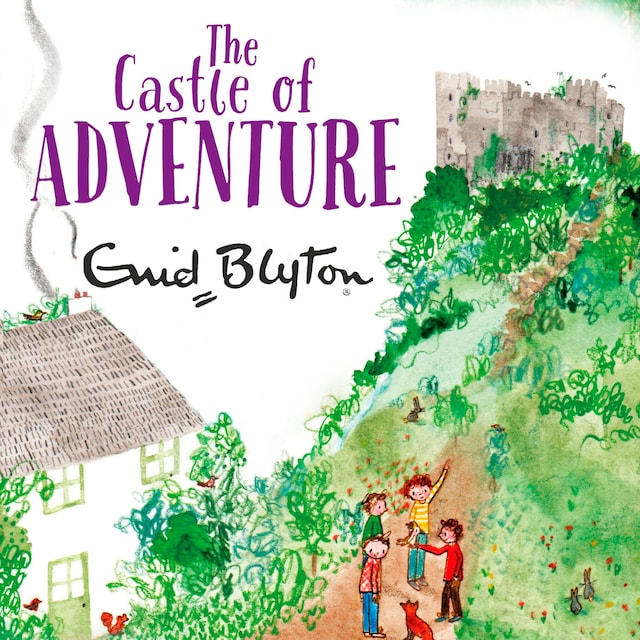 Okładka książki dla The Castle of Adventure