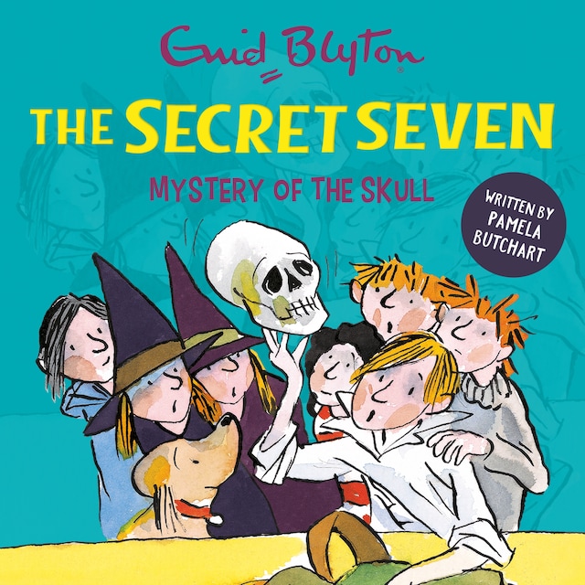 Book cover for Mystery of the Skull