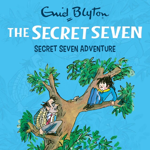 Book cover for Secret Seven Adventure