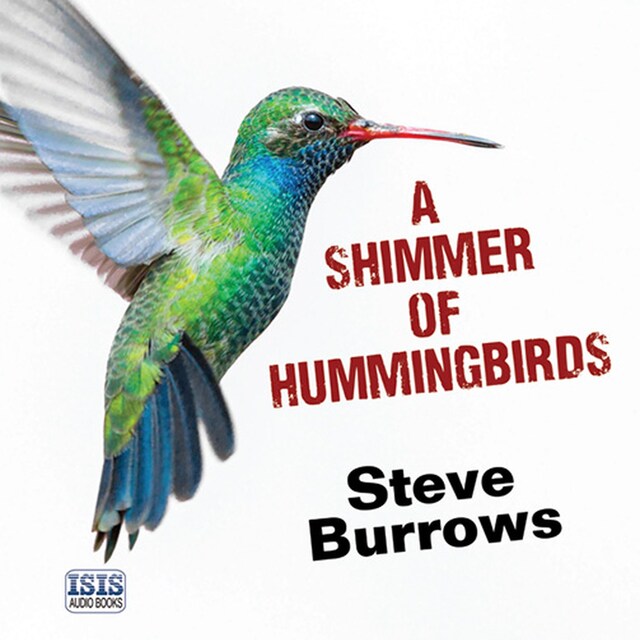 Boekomslag van Shimmer of Hummingbirds, A