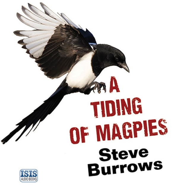 Book cover for Tiding of Magpies, A