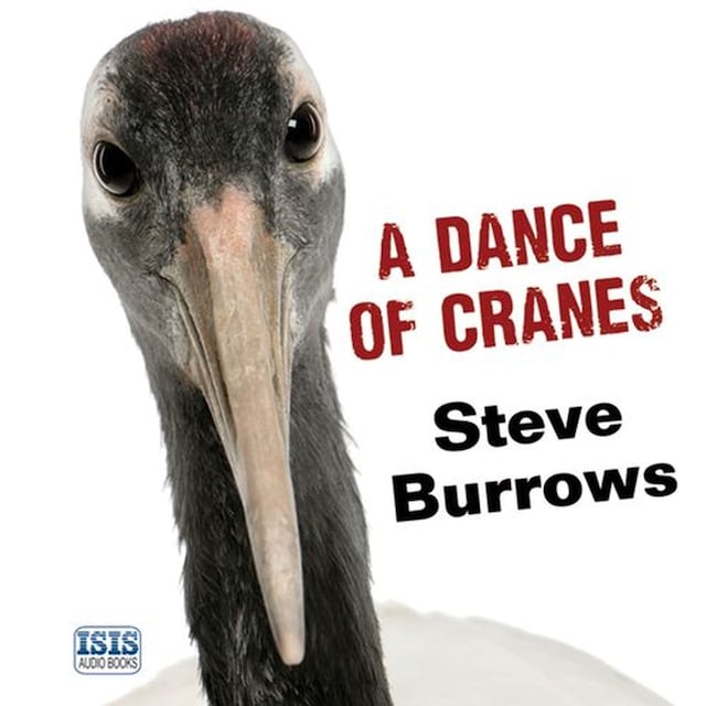 Book cover for Dance of Cranes, A