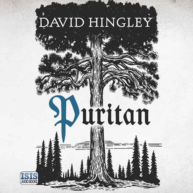 Book cover for Puritan