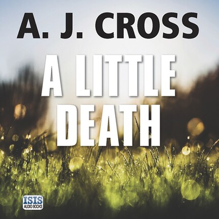 A Little Death bookCoverFor