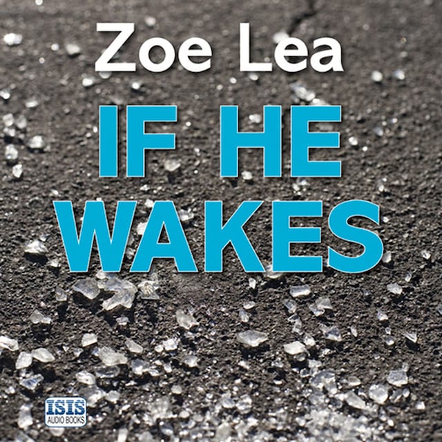 Book cover for If He Wakes