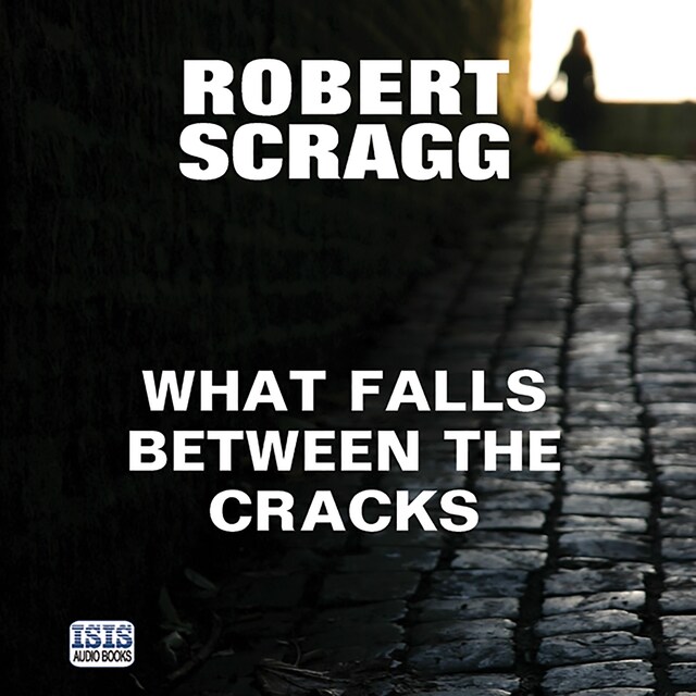 Buchcover für What Falls Between the Cracks