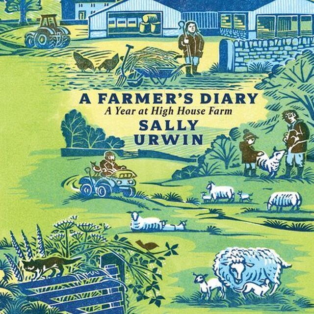 Book cover for Farmer's Diary, A