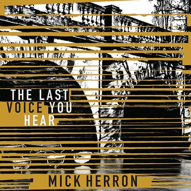 Book cover for The Last Voice You Hear