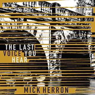 The Last Voice You Hear bookCoverFor