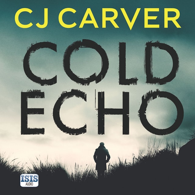 Book cover for Cold Echo