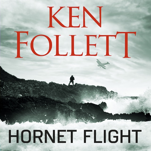 Okładka książki dla Hornet Flight