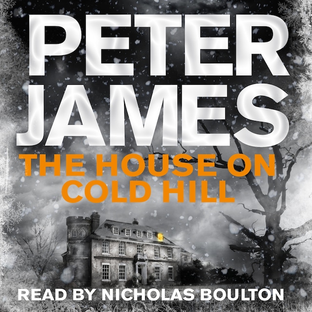 Book cover for The House on Cold Hill