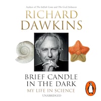 Brief Candle in the Dark