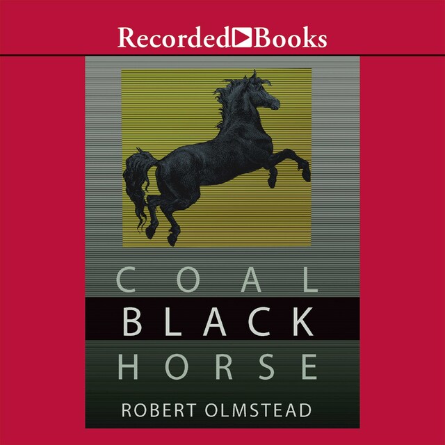 Bokomslag for Coal Black Horse