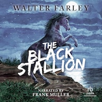 The Black Stallion