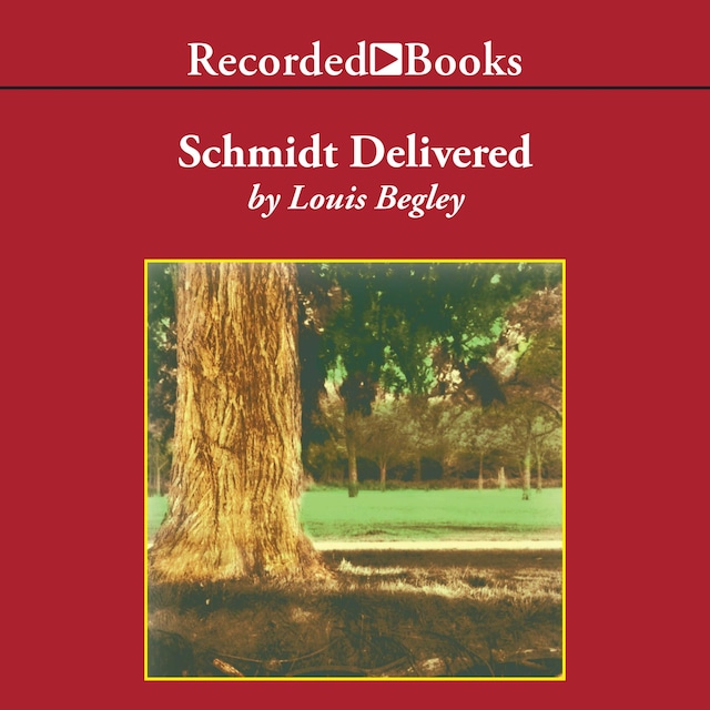 Book cover for Schmidt Delivered