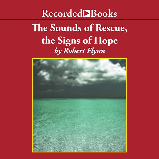 Boekomslag van The Sounds of Rescue, The Signs of Hope