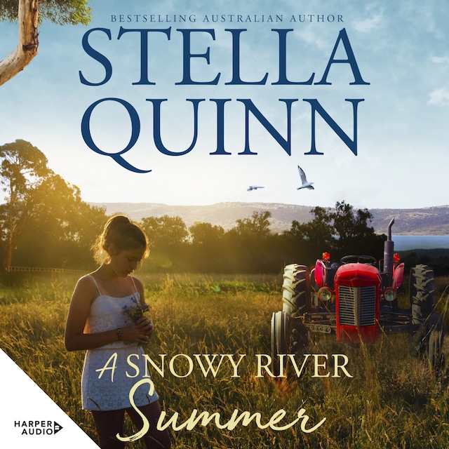 Boekomslag van A Snowy River Summer