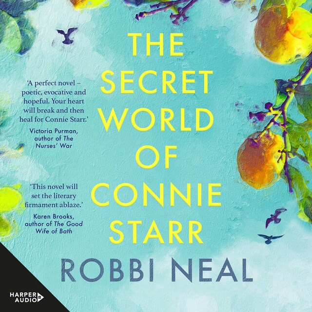 Portada de libro para The Secret World of Connie Starr