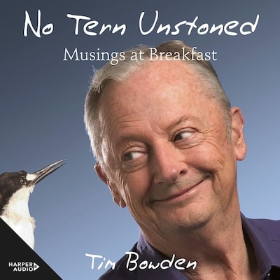 No Tern Unstoned