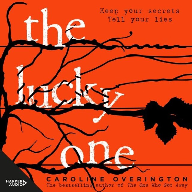 Book cover for The Lucky One