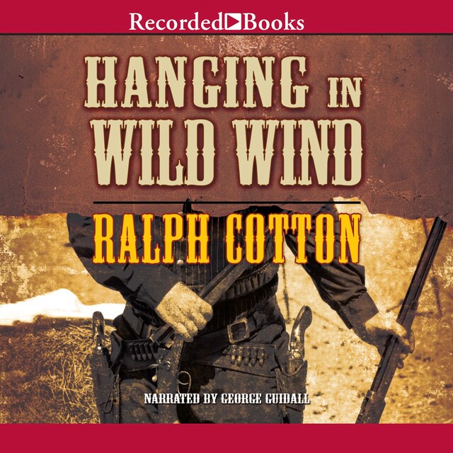 Book cover for Hanging in Wild Wind