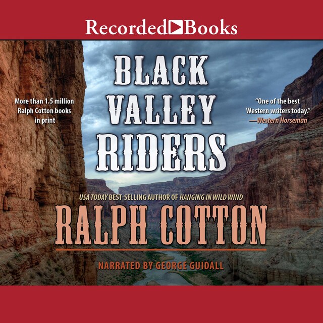 Book cover for Black Valley Riders