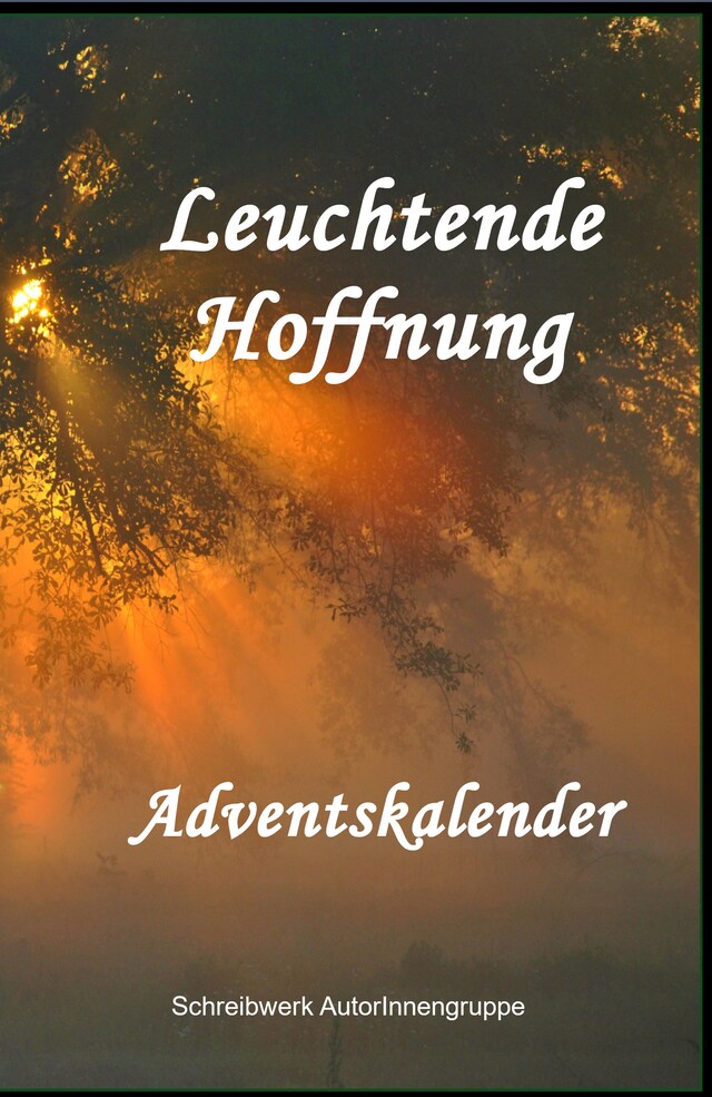 Book cover for Leuchtende Hoffnung. -  Adventskalender --