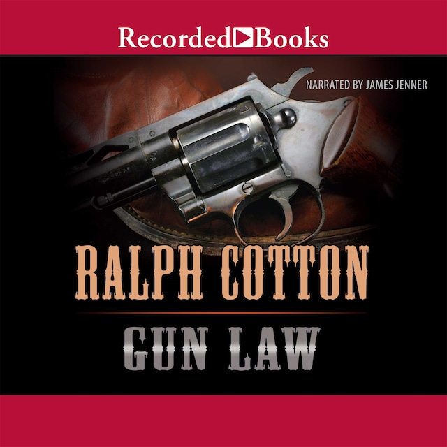 Book cover for Gun Law