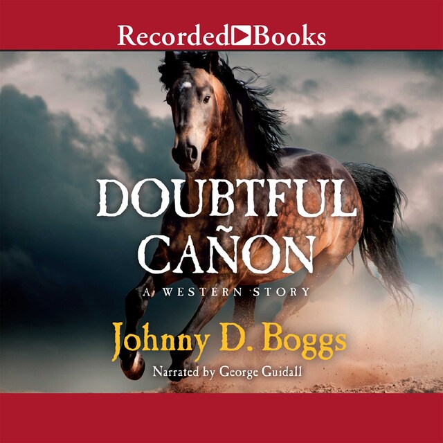 Book cover for Doubtful Canon