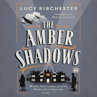 The Amber Shadows